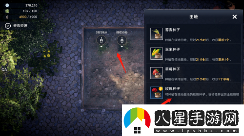 黑色沙漠手游村莊服裝任務(wù)怎么做