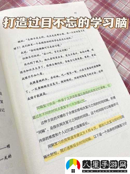 系統之名器養成