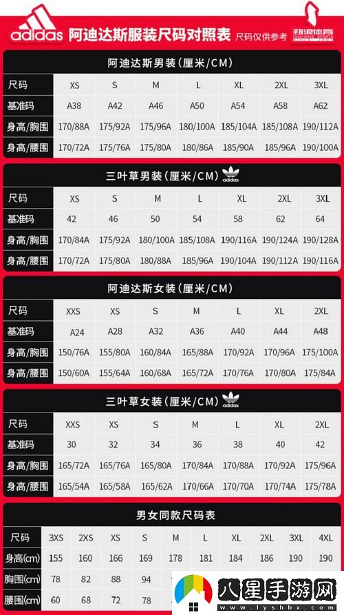 探討“三葉草m碼和歐洲碼區別”的詳盡解析