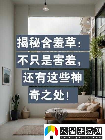 含羞草實(shí)驗視秀恩愛(ài)