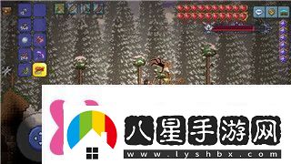 影子武士2流派的樣式探索每種流派的獨特戰斗方式與技能系統