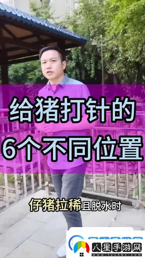 狩獵時(shí)刻挑戰毒豬全面解析毒豬打法策略與技巧攻略