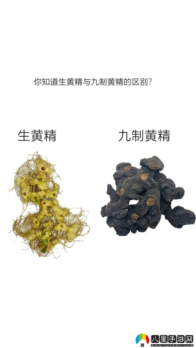 國產(chǎn)精品國精產(chǎn)品一二三區別