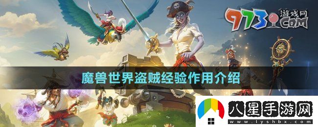 魔獸世界盜賊經(jīng)驗有什么用