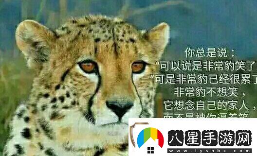 你不知道你不在乎你只關(guān)心你自己是什么梗絡(luò )用語(yǔ)