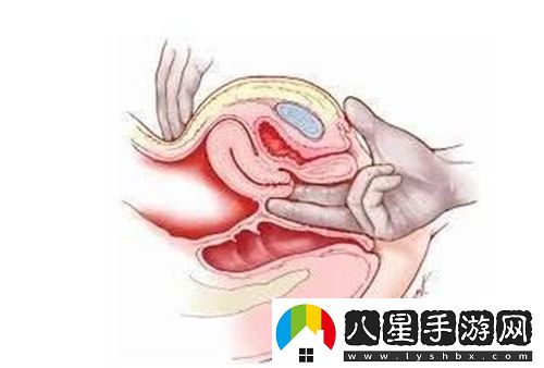探索“處破女AAAAA”背后的社會(huì )現象與心理影響