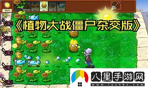 雙點(diǎn)博物館全流程通關(guān)視頻攻略