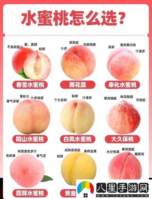 新探索蜜桃國精產(chǎn)品二三三區的魅力與價(jià)值
