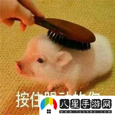 沒(méi)帶罩子讓校霸C了一節課的