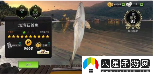 甩竿識魚(yú)兩不誤釣魚(yú)大對決帶你深入認識鯊魚(yú)