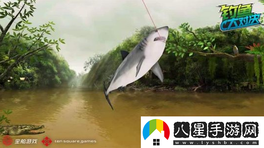 甩竿識魚(yú)兩不誤釣魚(yú)大對決帶你深入認識鯊魚(yú)