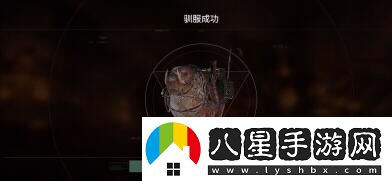 破碎之地坐騎抓取詳細操作流程