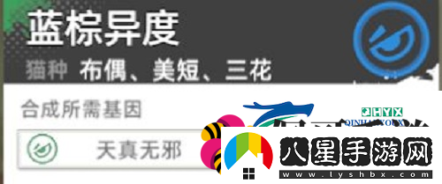 貓之城主題貓怎么獲得