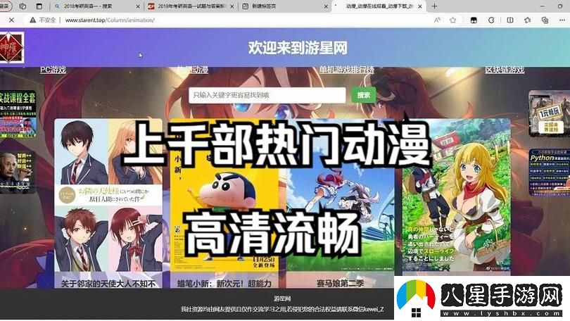 如何確保瀏覽器順利訪(fǎng)問(wèn)成品動(dòng)漫站入口