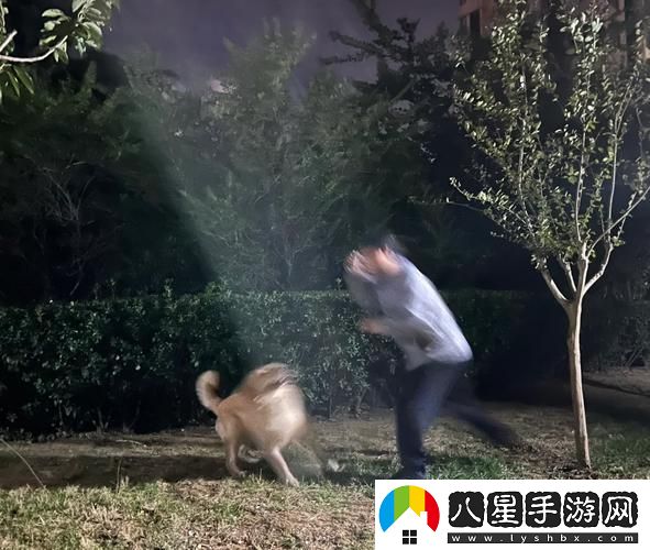 人狗大戰5免費在線(xiàn)觀(guān)看完整版