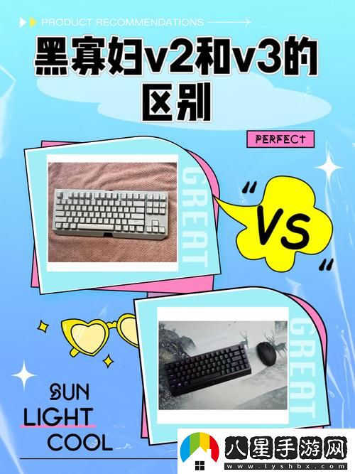 黑寡婦v2與v3有什么區別