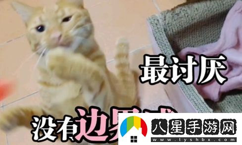 討厭沒(méi)有邊界感的人是什么梗絡(luò )用語(yǔ)討厭沒(méi)有邊界感的人梗意思及出處分享