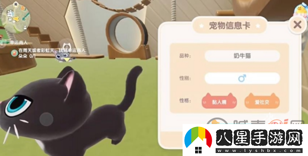 心動(dòng)小鎮怎么養貓