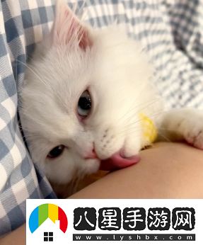 舔貓型是什么梗絡(luò )用語(yǔ)