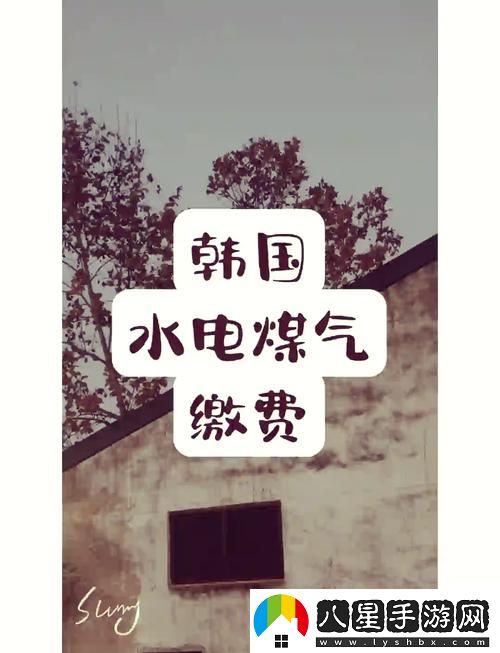 探索“好看的韓國三色電費”的魅力與獨特設計