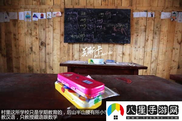 重型挖掘機雪犁模擬什么時(shí)候出
