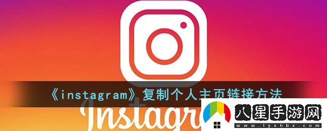 Instagram個(gè)人主頁(yè)鏈接復制教程