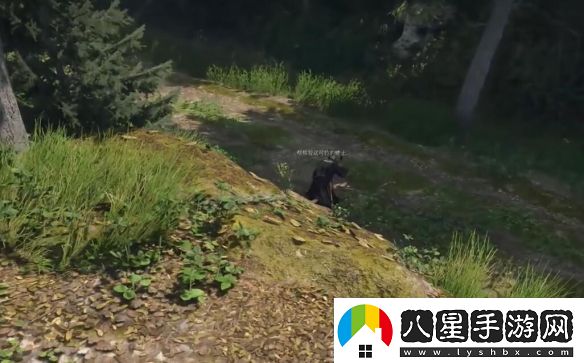 天國拯救2潰瘍營(yíng)地在哪