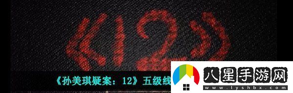 孫美琪疑案12五級線(xiàn)索蟲(chóng)子在哪五級線(xiàn)索蟲(chóng)子位置位置介紹