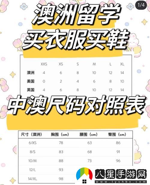 深入解析日亞M碼與歐洲M碼的區別