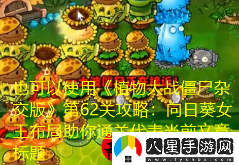 植物大戰僵尸雜交版第62關(guān)攻略