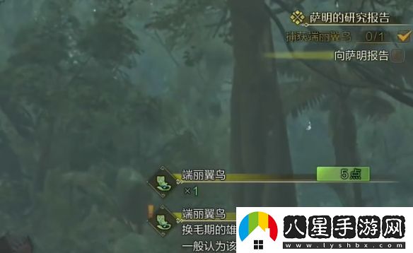 怪物獵人荒野薩明的研究報告怎么做