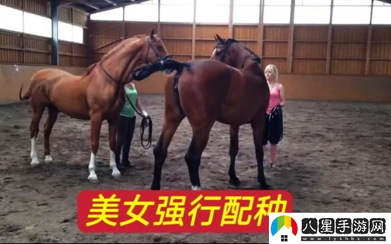 探索“美國公馬配女人”的背后故事與文化意義