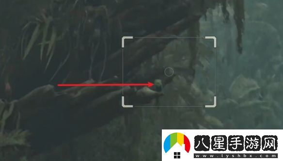 怪物獵人荒野薩明的研究報告怎么做