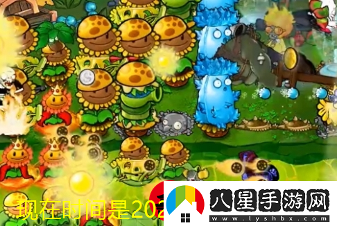植物大戰僵尸雜交版第62關(guān)攻略