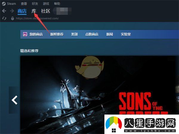Steam庫個(gè)人收藏夾創(chuàng  )建教程