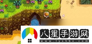 星露谷物語(yǔ)快速獲取金核桃的方法