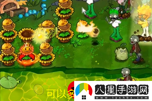 植物大戰僵尸雜交版第62關(guān)攻略
