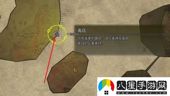怪物獵人荒野薩明的研究報告怎么做