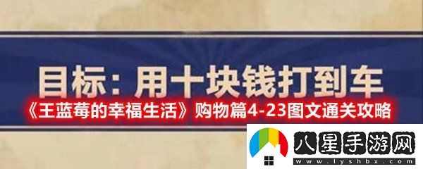 王藍莓的幸福生活4