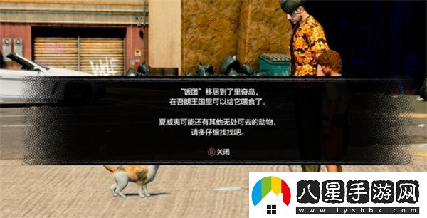 如龍8外傳五號地區的小貓任務(wù)攻略分享