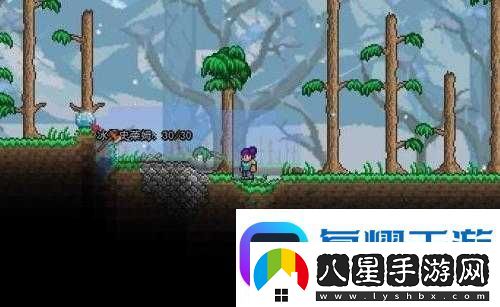 泰拉瑞亞珍珠獲取大揭秘黑白珍珠究竟該如何獲得