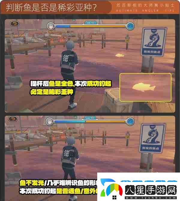 絕區零厄匹斯極釣大師賽玩法攻略