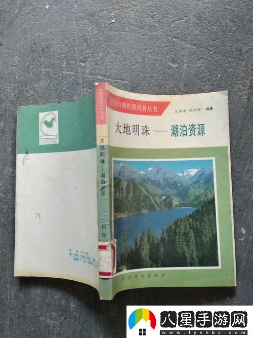探索大地資源中文一二三頁(yè)的奧秘