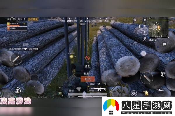 極限大亂斗什么時(shí)候出引人期待