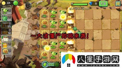 植物大戰僵尸2功夫世界第十天攻略