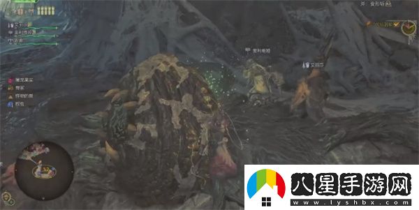 怪物獵人荒野適應的方式任務(wù)攻略分享