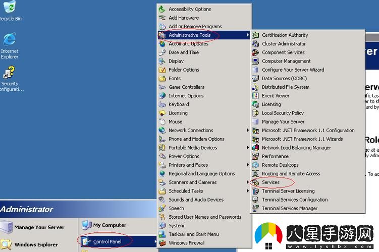 VPSWINDOWS另類(lèi)亂