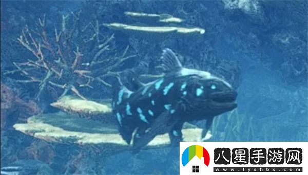 怪物獵人荒野化石腔棘魚(yú)具體位置分享