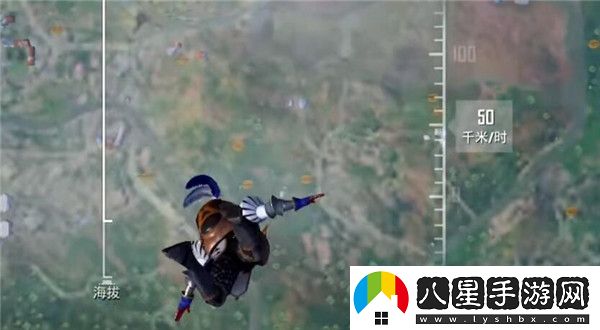 和平精英多利鳥(niǎo)怎么用
