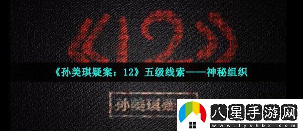 孫美琪疑案12五級線(xiàn)索神秘組織在哪